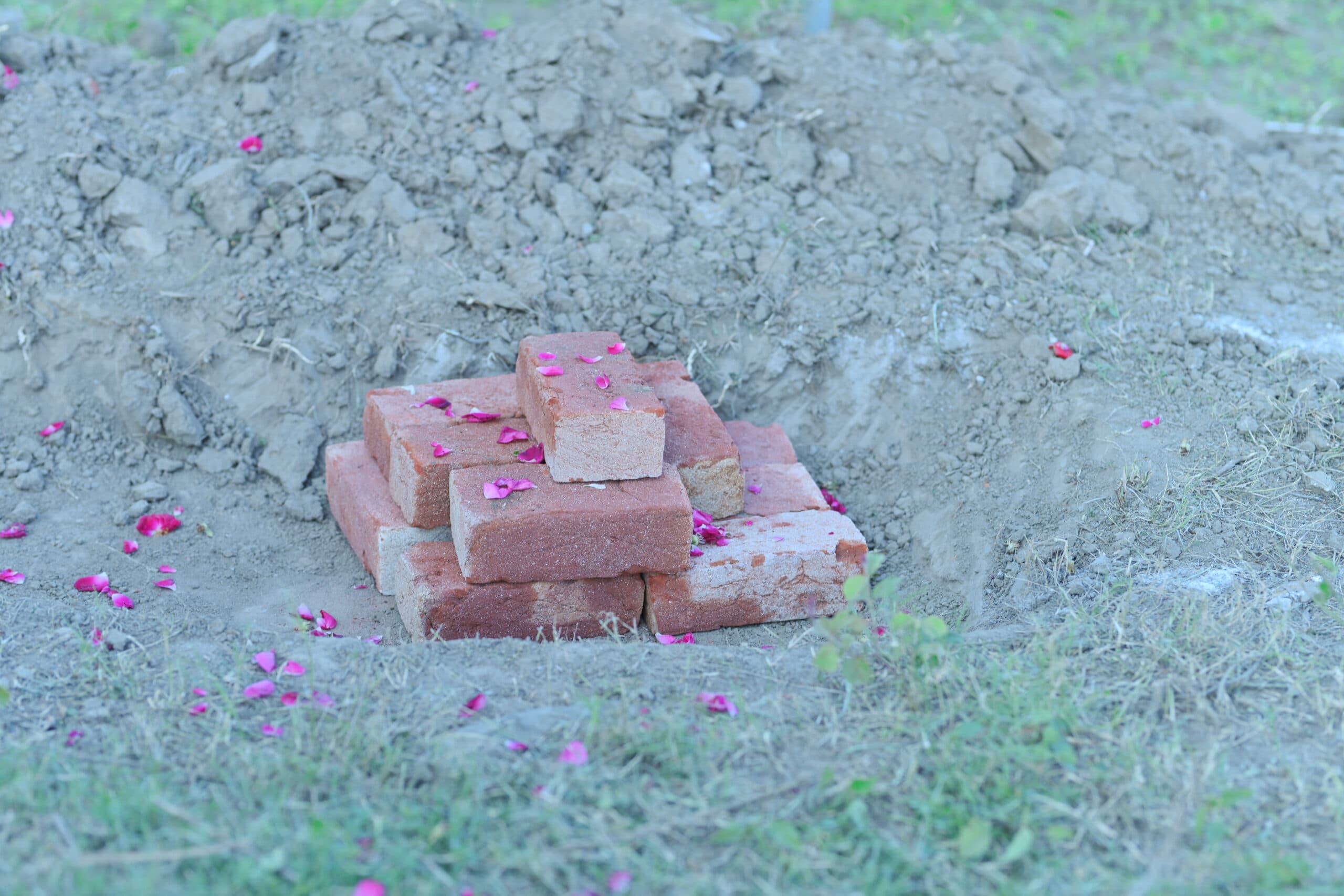 افتتاحی تقریب - 6